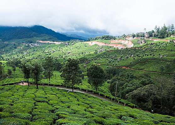 Magnificent Kerala