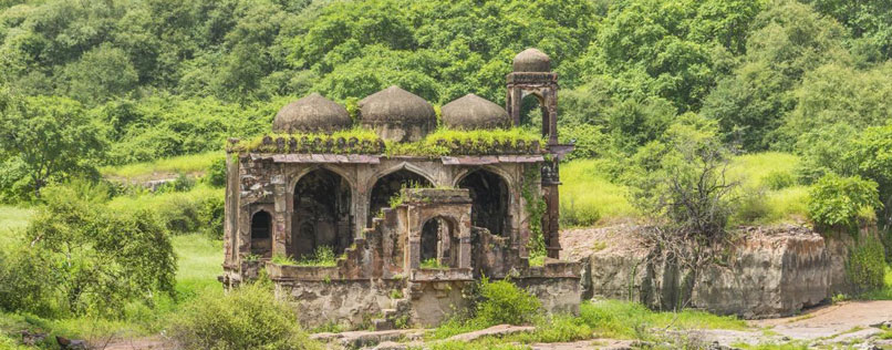 Jaipur Pushkar Ranthambore